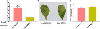 Protein Phosphorylation Changes During Systemic Acquired Resistance in Arabidopsis thaliana